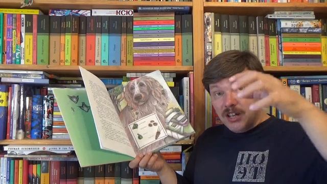 Ирина Цхай. Храброе семечко. Грибные истории смотреть онлайн