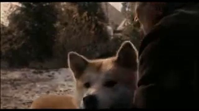 Хатико   клип по фильму