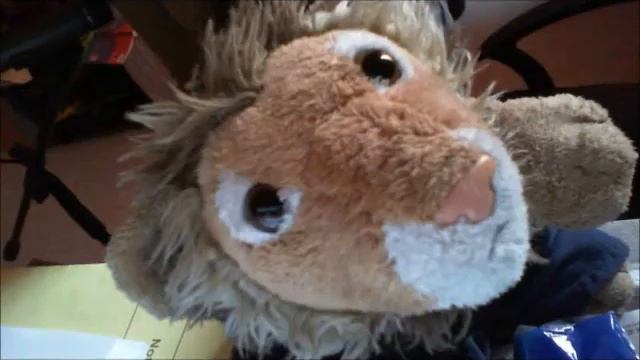 FULDA CATS VIDEO PC смотреть онлайн