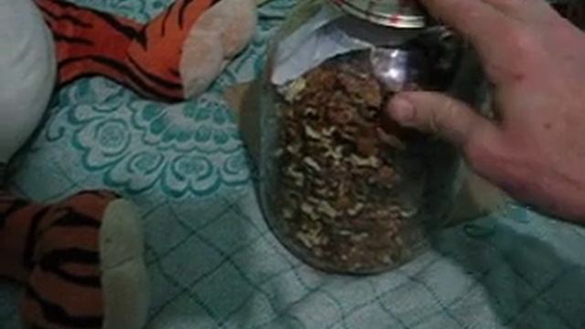как правильно хранить грецкие орехи смотреть онлайн