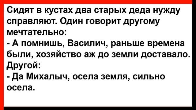 Родите невесты просыпаются от громкого крика своей дочери... Анекдоты! Юмор! Позитив! смотреть онлайн
