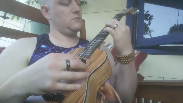Eleanor Rigby 1st Attempt Ukulele смотреть онлайн