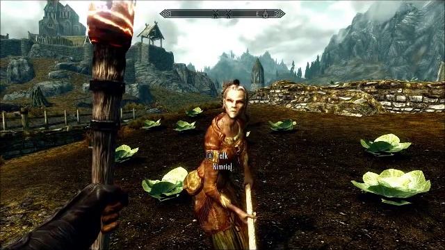 Skyrim Tales - Torch Love смотреть онлайн