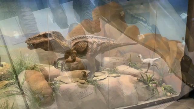 ГОСУДАРСТВЕННЫЙ ДАРВИНОВСКИЙ МУЗЕЙ смотреть онлайн