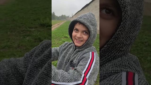 Першерон и Русский тяжеловоз смотреть онлайн