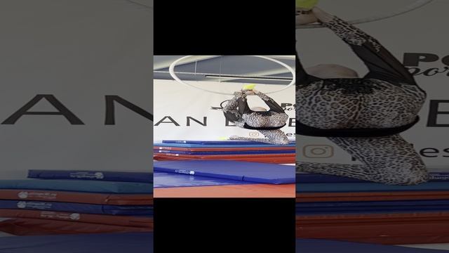 Воздушная гимнастика #7 смотреть онлайн