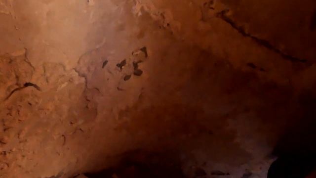 IS MONASTIR المنستير TUNISA WORTH VISITING? #tunisia #monastir смотреть онлайн