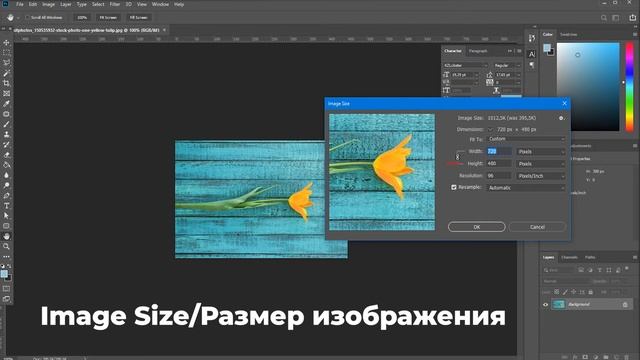 Как изменить размер фото в фотошопе I Основы Photoshop смотреть онлайн