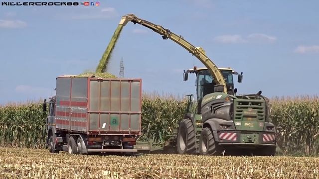 Krone BigX 1180 + Krone XCut 900 - 3 | ROSINA