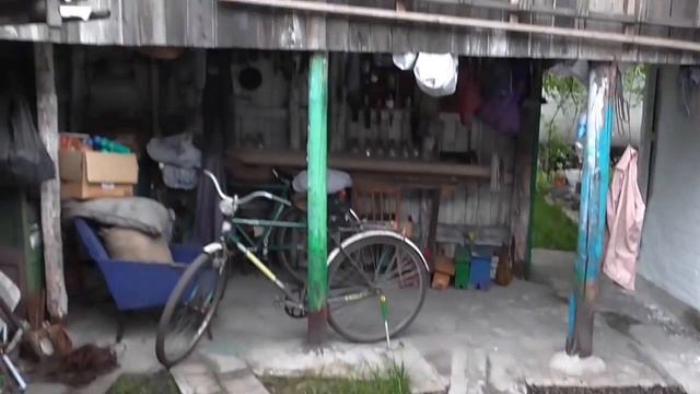 Посеял газонную траву после дождя смотреть онлайн