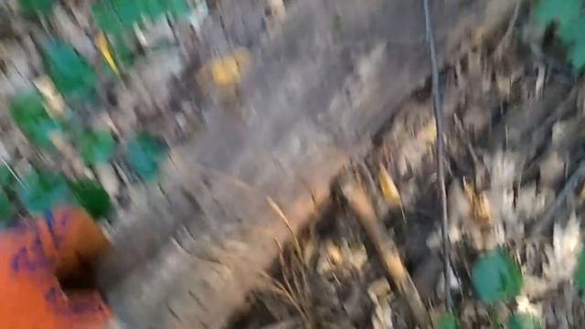 Первые монеты с фортуной м3 смотреть онлайн