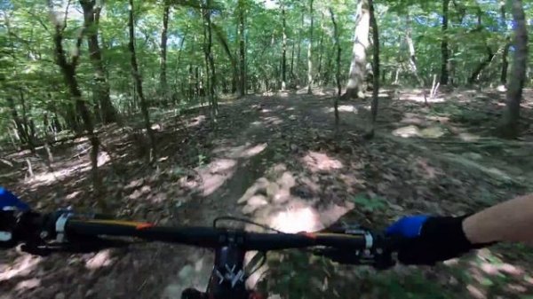 Mongoose Salvo Pro Full Suspension Mountain Bike | A $2000 Mongoose