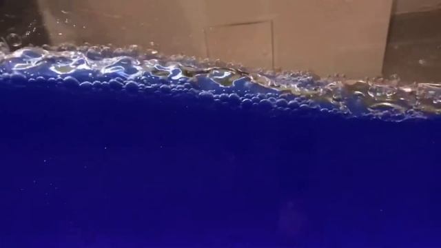 Музей, где МОЖНО ТРОГАТЬ ВСЁ! ЭКСПЕРИМЕНТАРИУМ в Москве. смотреть онлайн