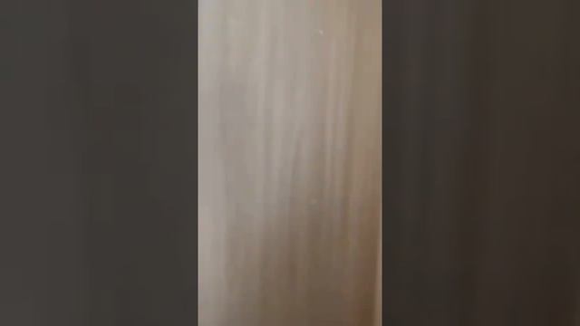 Где отдохнуть в Крыму? Снять номер в Судаке , Гостевой дом Sudak+79787403530 ,,Орион Судак Ру ,,