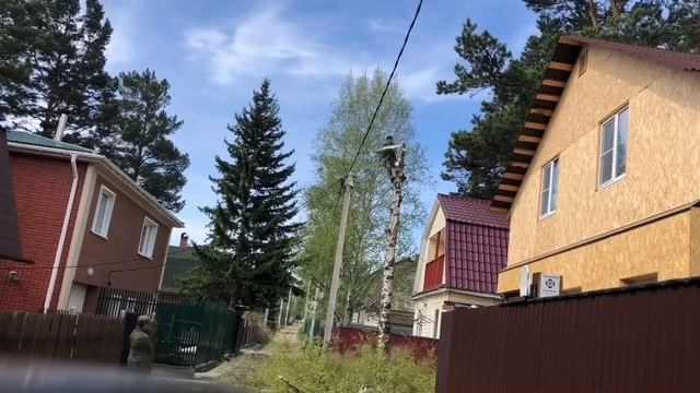 Иркутск Спил берёзы по частям в сложных условиях смотреть онлайн
