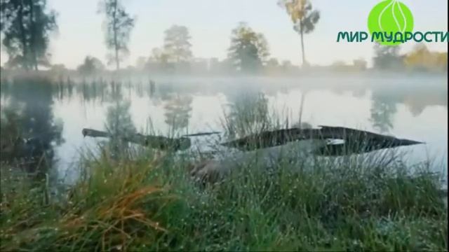 Садхгуру. Карма.Часть 1