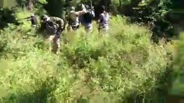 Hostage game смотреть онлайн