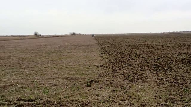 Крым,рисовые чеки поля 11 03 2015 смотреть онлайн