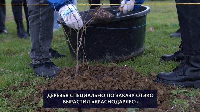 Зеленый щит Тамани смотреть онлайн