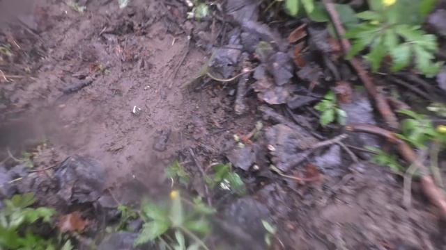 КОП В УРОЧИЩЕ 18 ВЕКА! НАШЕЛ МОНЕТЫ ЦАРСКОЙ РОССИИ И СТАРИННЫЕ НАХОДКИ ПОИСК МОНЕТ И КЛАДОВ 2021 смотреть онлайн