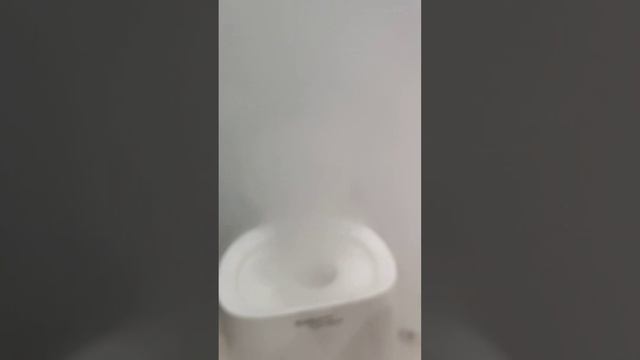 Scarlett Sc-ah986m17