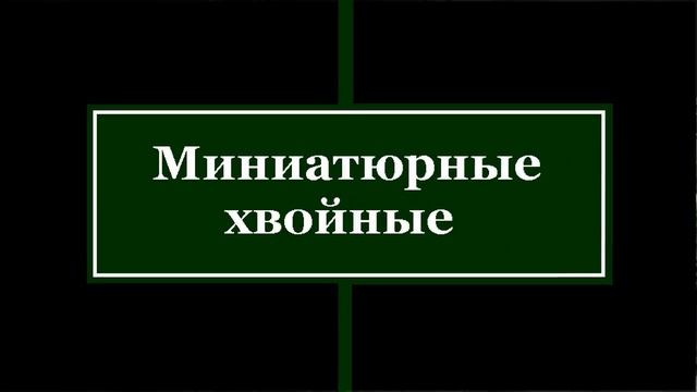 ❀ 11 приемов создания роскошного сада смотреть онлайн