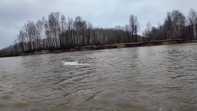Иртыш. Осинник. Установка боновых заграждений.