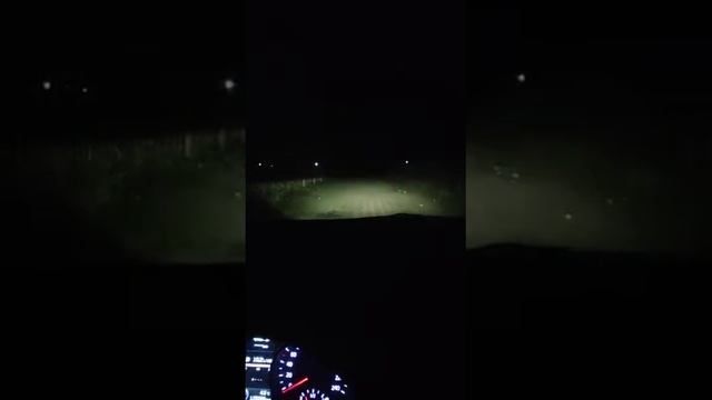 Отзыв клиента Киа Спортедж