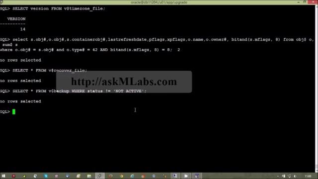 db upgrade 11204 to 12101 manual смотреть онлайн