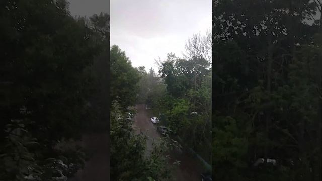 Тропический ливень в средней полосе смотреть онлайн