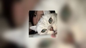 стой, можно я с тобой? speed up