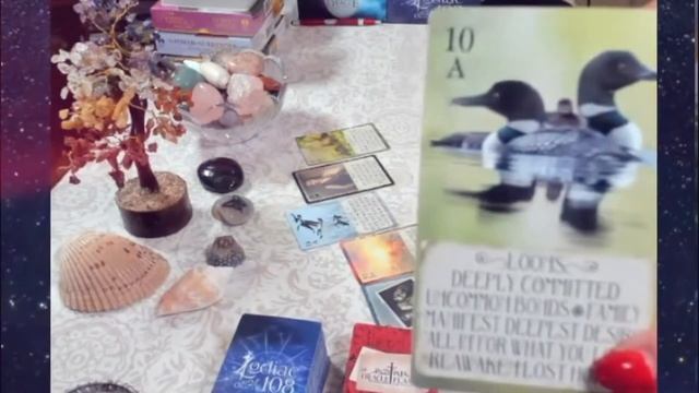 ? Meet the iN2IT Family of Oracle & Tarot Cards! ? No books needed ? смотреть онлайн
