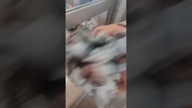 ТехноДомрф