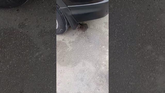 problème filtre à particule Nissan Qashqai 2017 diesel смотреть онлайн