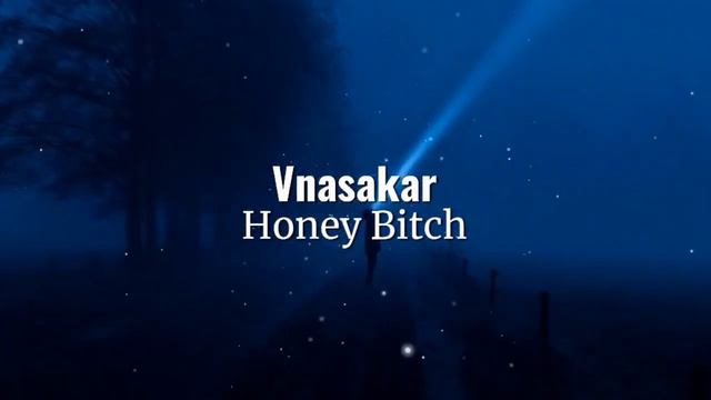 Vnasakar - Honey Bitch (ArmMusicBeats Remix) 2022