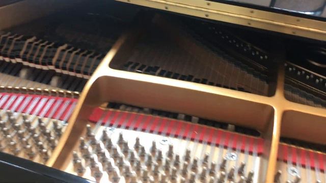 Samick Player Grand Piano at The Casa of Gervasi Vineyard смотреть онлайн