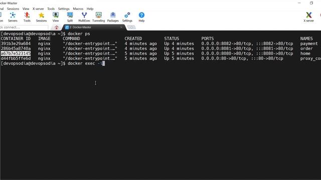 Nginx Reverse Proxy with Multi Container смотреть онлайн