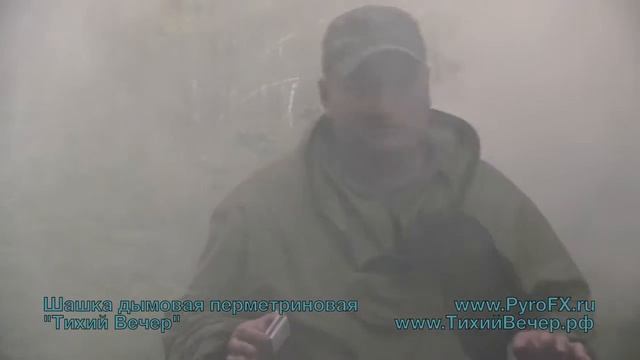 Тихий вечер. И больше никто не жужжит! смотреть онлайн