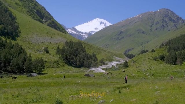 Джигиты, суслики и башни из песчаника с видом на Эльбрус. #travelvlog #hiking #путешествие смотреть онлайн