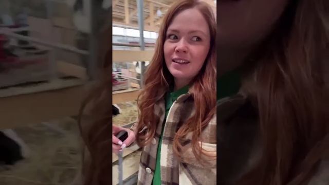 27 ЛИТРОВ МОЛОКА В ДЕНЬ С ОДНОЙ КОРОВЫ!! #буднифермера смотреть онлайн