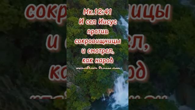 Евангелие дня смотреть онлайн