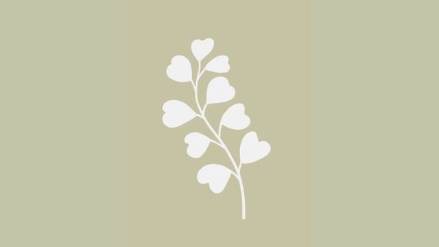 Procreate Brush Stamp Set Preview: Leaves & Branches