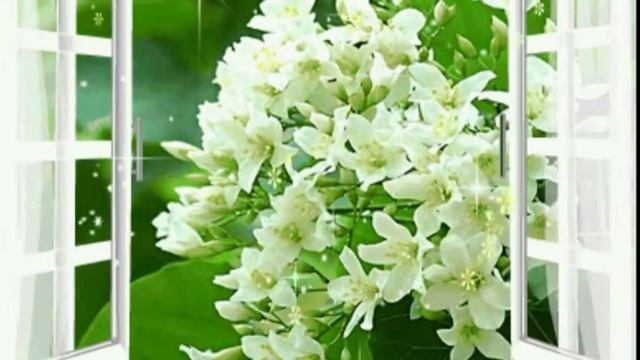 Весенний вальс смотреть онлайн