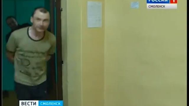 В Вишенках под Смоленском задержан дачный вор смотреть онлайн