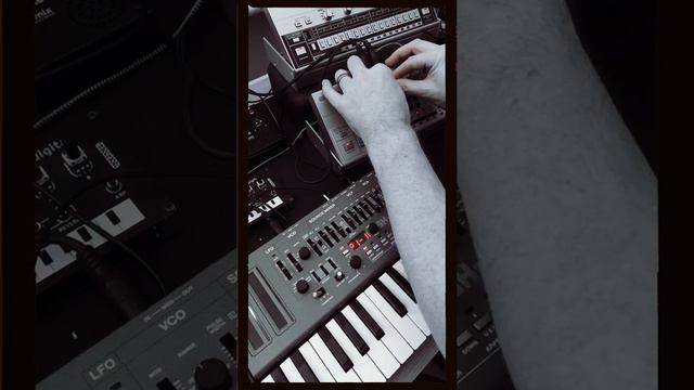 Happy 303 day, with added SH-01A! [longer version] TB-03/TR-06 смотреть онлайн