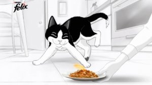 Феликс. Находчивый кот!