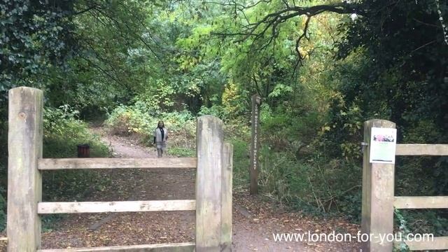 Выпуск 307 Жизнь Толкина в Бирмингеме / John Ronald Reuel Tolkien