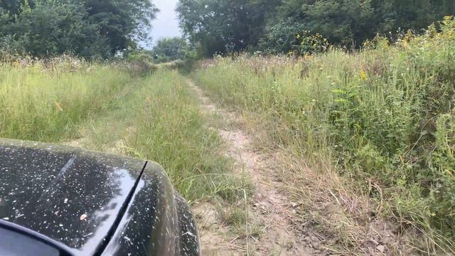 Subaru Forester 3 (Nagyatád erdő 2020.08.30) смотреть онлайн