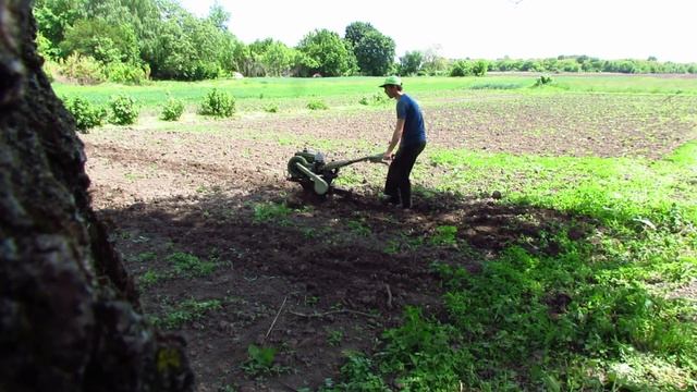 Масло кипить мотоблок Горить Фрезіровка гарбузів у +30°С смотреть онлайн