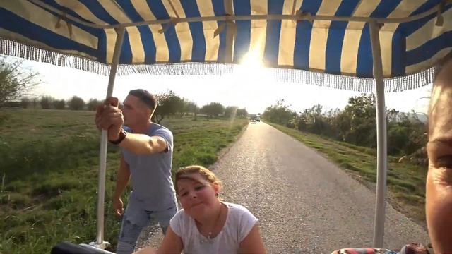 Перелетные птицы на озере Хула смотреть онлайн